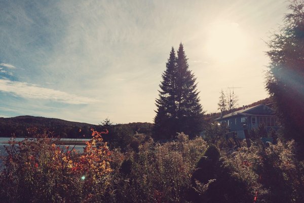 Comment marier des vêtements aux tons terreux pour un look automnal harmonieux?